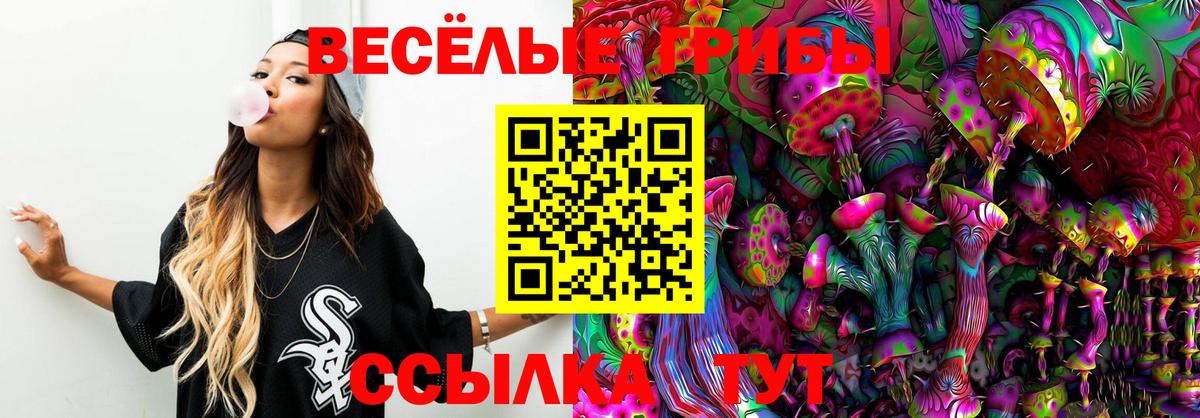 Псилоцибиновые грибы GOLDEN TEACHER  Вход с VPN  Галлюциногенные грибы MAGIC MUSHROOMS  Гагарин 