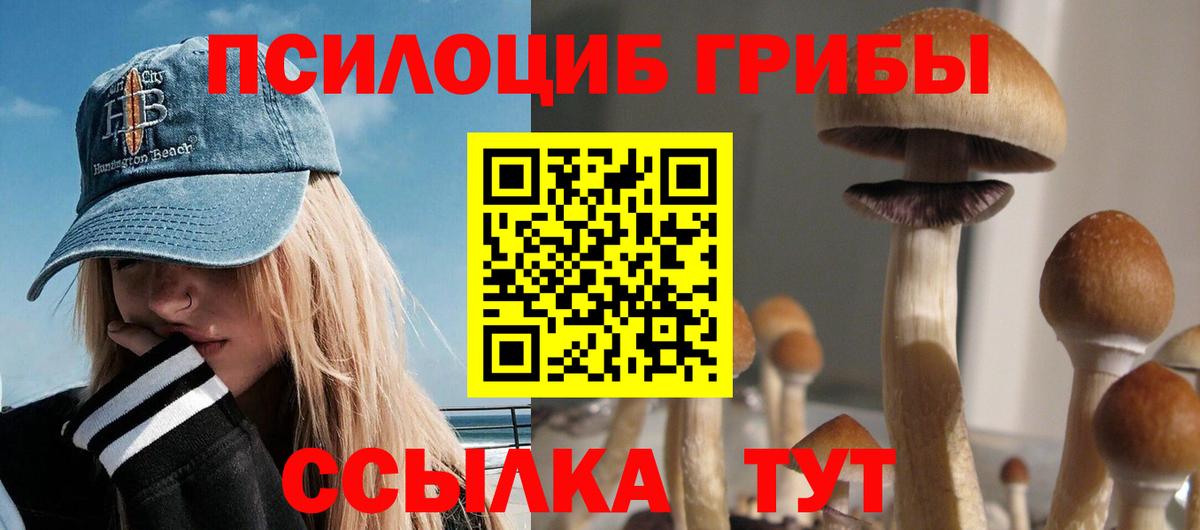 Псилоцибиновые грибы Cubensis Гагарин